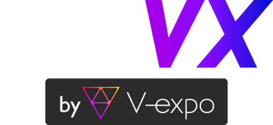 婚活VX